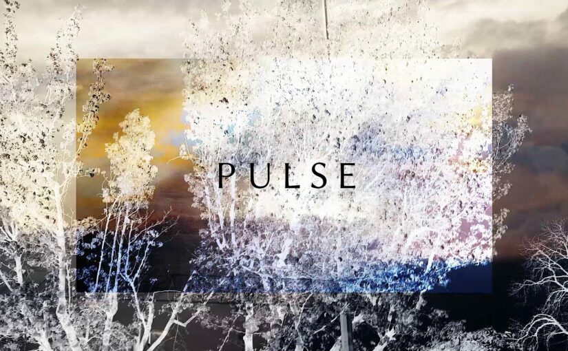 Pulse