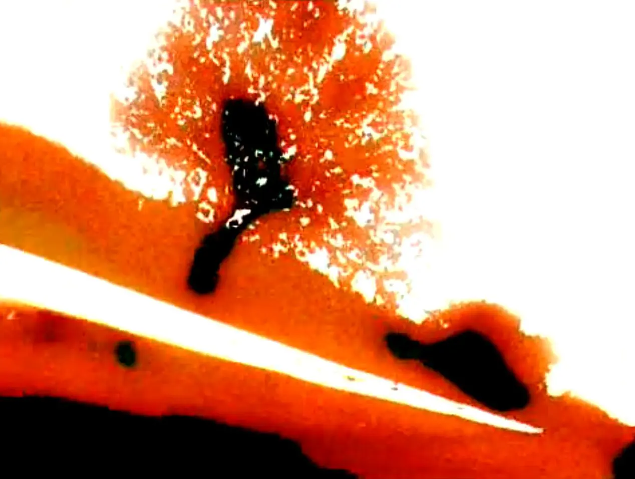 "Images, matière du réel"